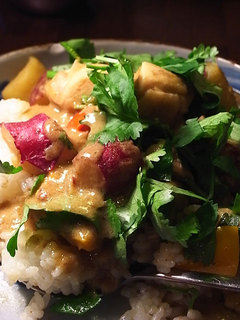 101108yellow-curry.jpg