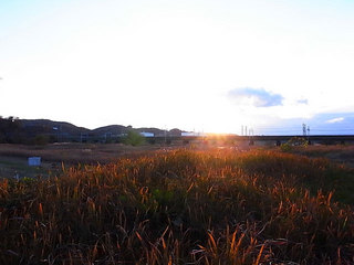 101203river2.jpg
