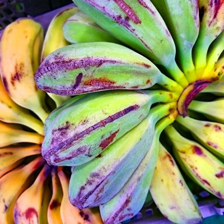 150703greenbananas.jpg
