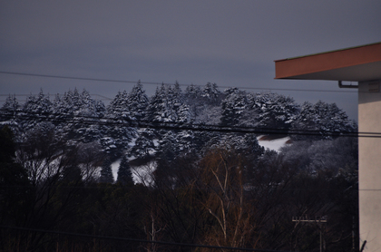2011021202.jpg