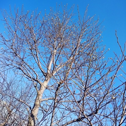 IMG_20161218_161501.jpg