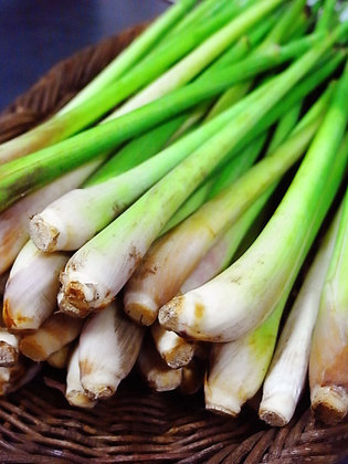 110709lemon-grass.jpg