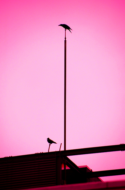 11102201.jpg