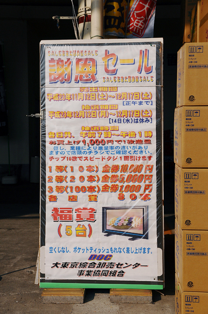 11110306.jpg