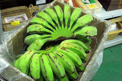 140829banana1.jpg