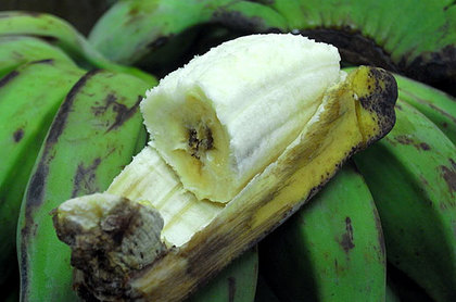 140829banana2.jpg