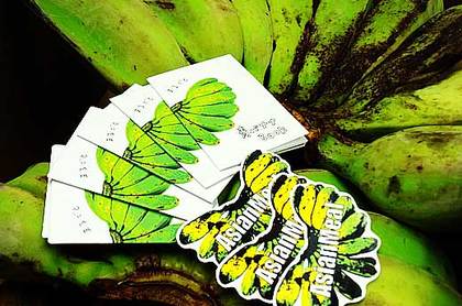 141108greenbananas.jpg