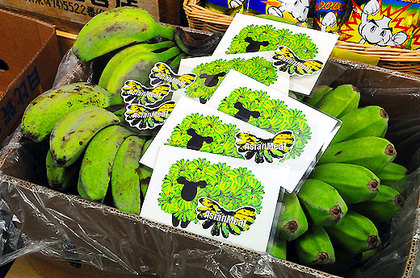 141128greenbanana.jpg