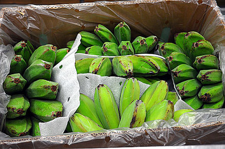 150119bananas.jpg