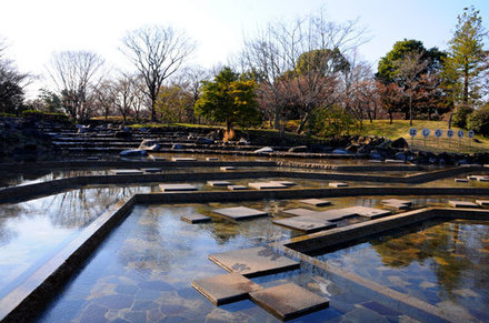 150327kyodomori1.jpg