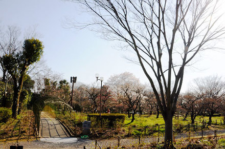 150327kyodomori7.jpg