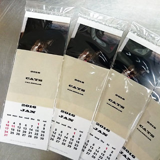 151015catcalendarpacage.jpg