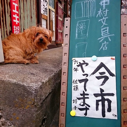 160131nauichi15.jpg