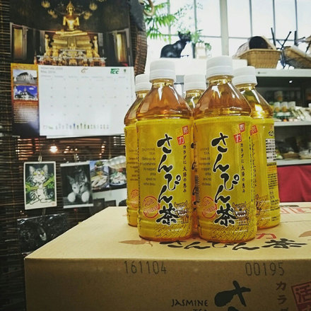 160526sanpincha.jpg