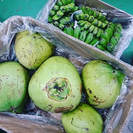 160805coconuts.jpg