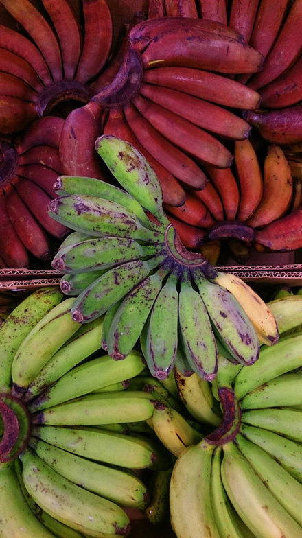 160808bananas.jpg
