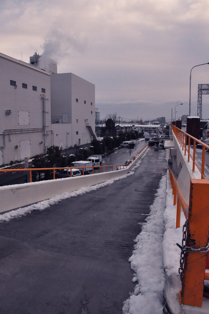 2011021501.jpg