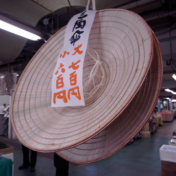 kasa01.jpg